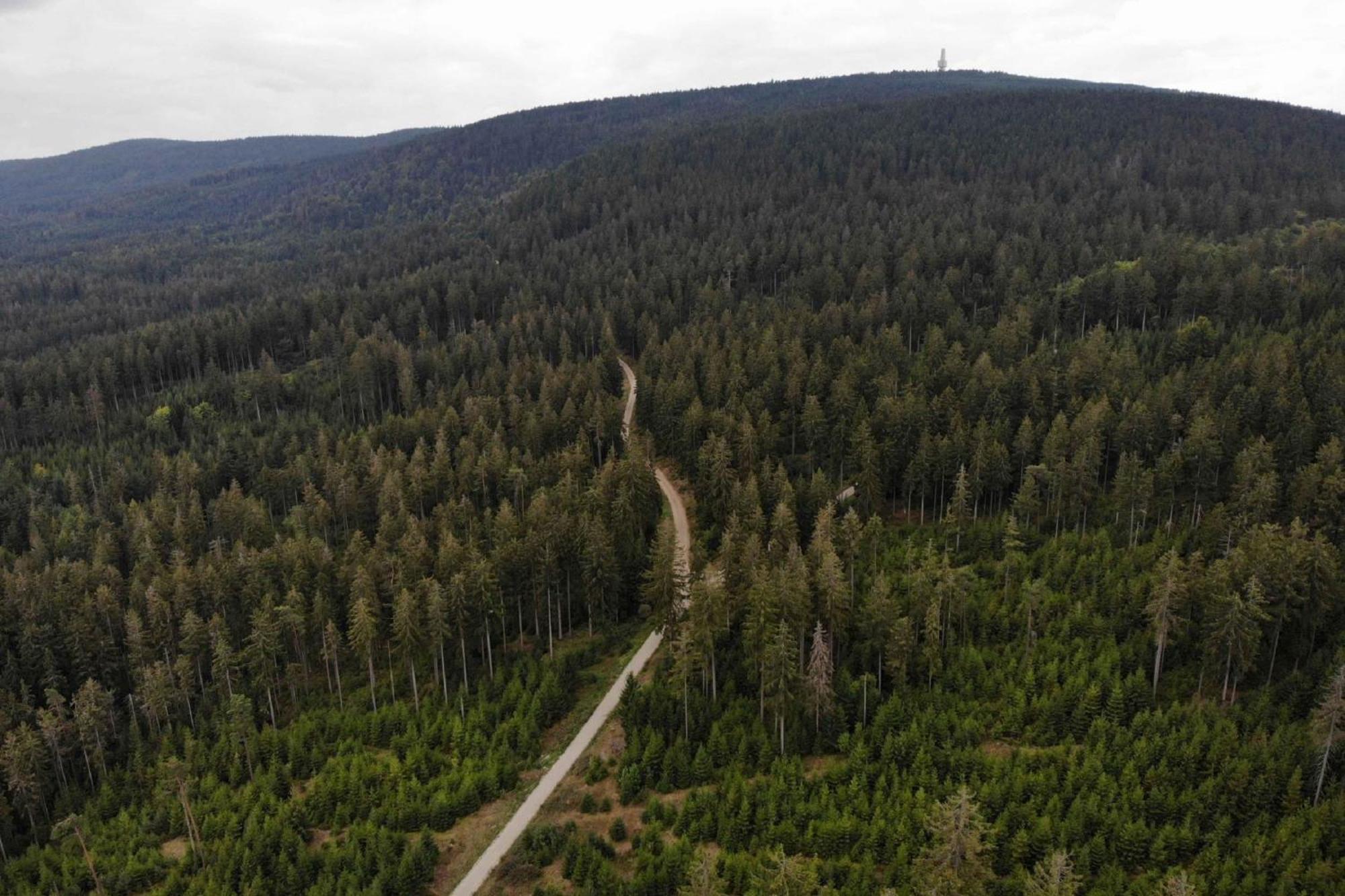 Panoramaapartment Am Ochsenkopf Bischofsgrün Exteriör bild